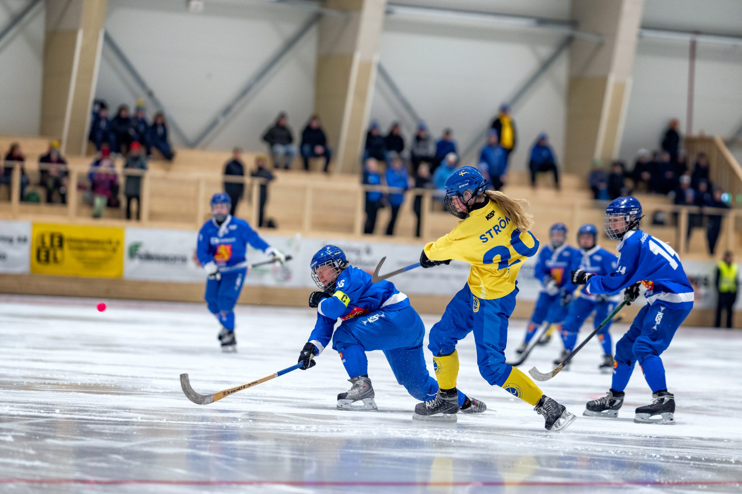 Sverige Vm Guld Dam 31