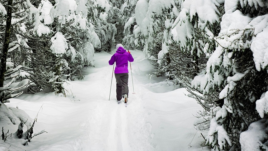 Cross Country Skiing